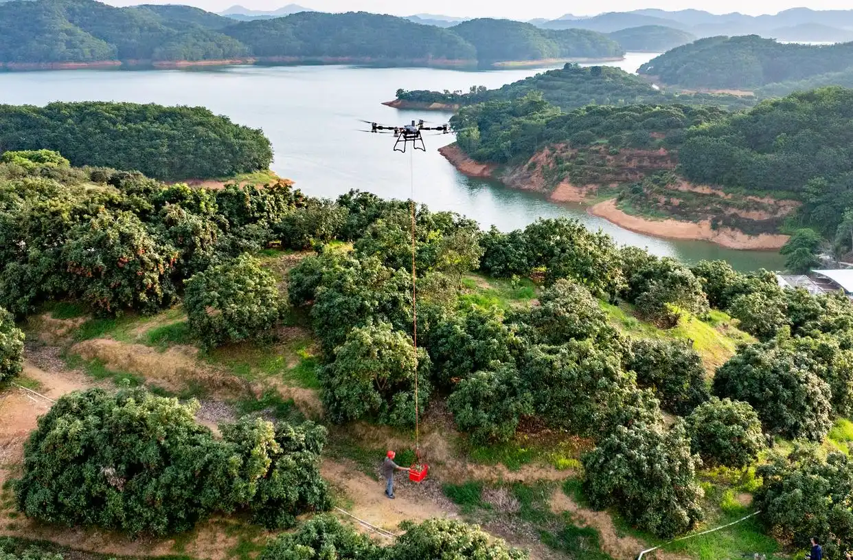 低空经济：新质生产力风口下的新蓝海
