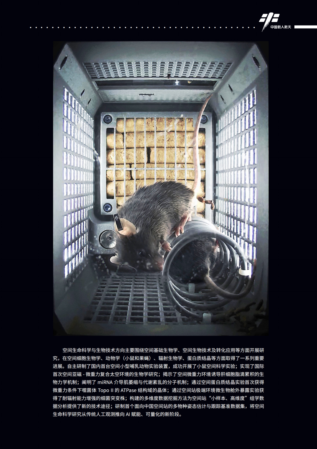 应用成果持续涌现！我国发布2025年度《中国空间站科学研究与应用进展报告》