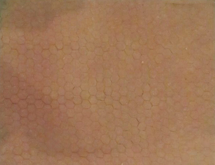 【航化说】返回舱成功着陆，外观总体正常，“防热衣”功不可没