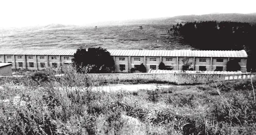 动力十足！这是可以让飞机“畅游”的水池