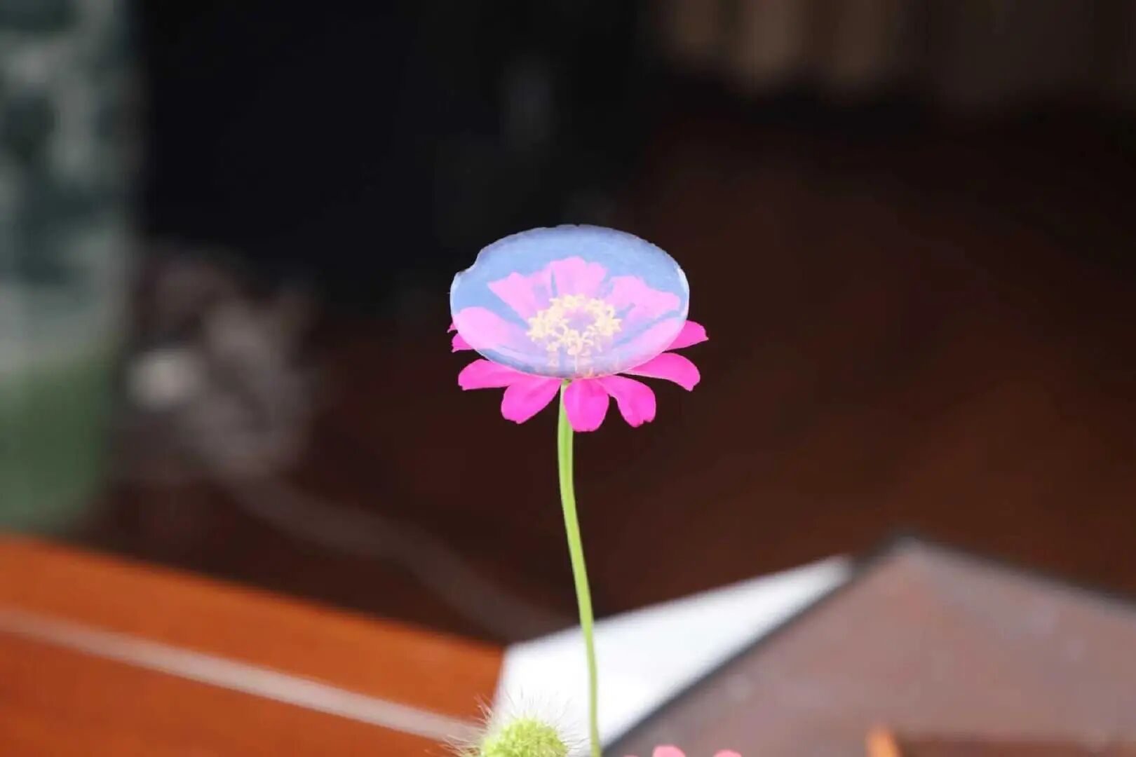 【航化说】耐1300℃的气凝胶隔热片——锂离子电池的“超级消防员”